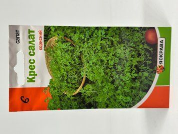 151 фото