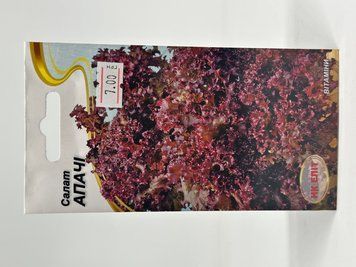 155 фото