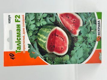 258  фото