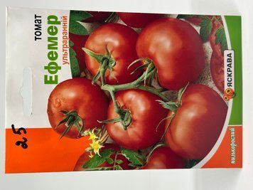 166 фото