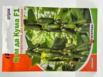 Кум да кума 068 фото